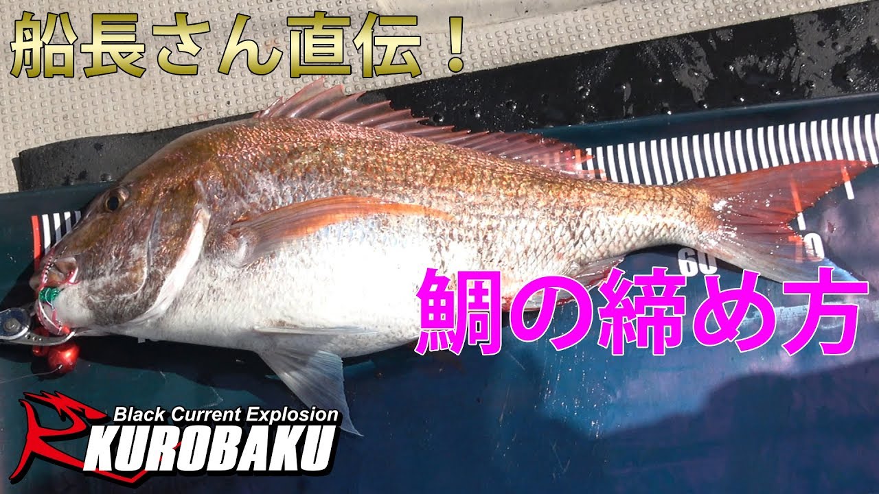 鯛の締め方〆 船長さん直伝！Red sea bream cutting