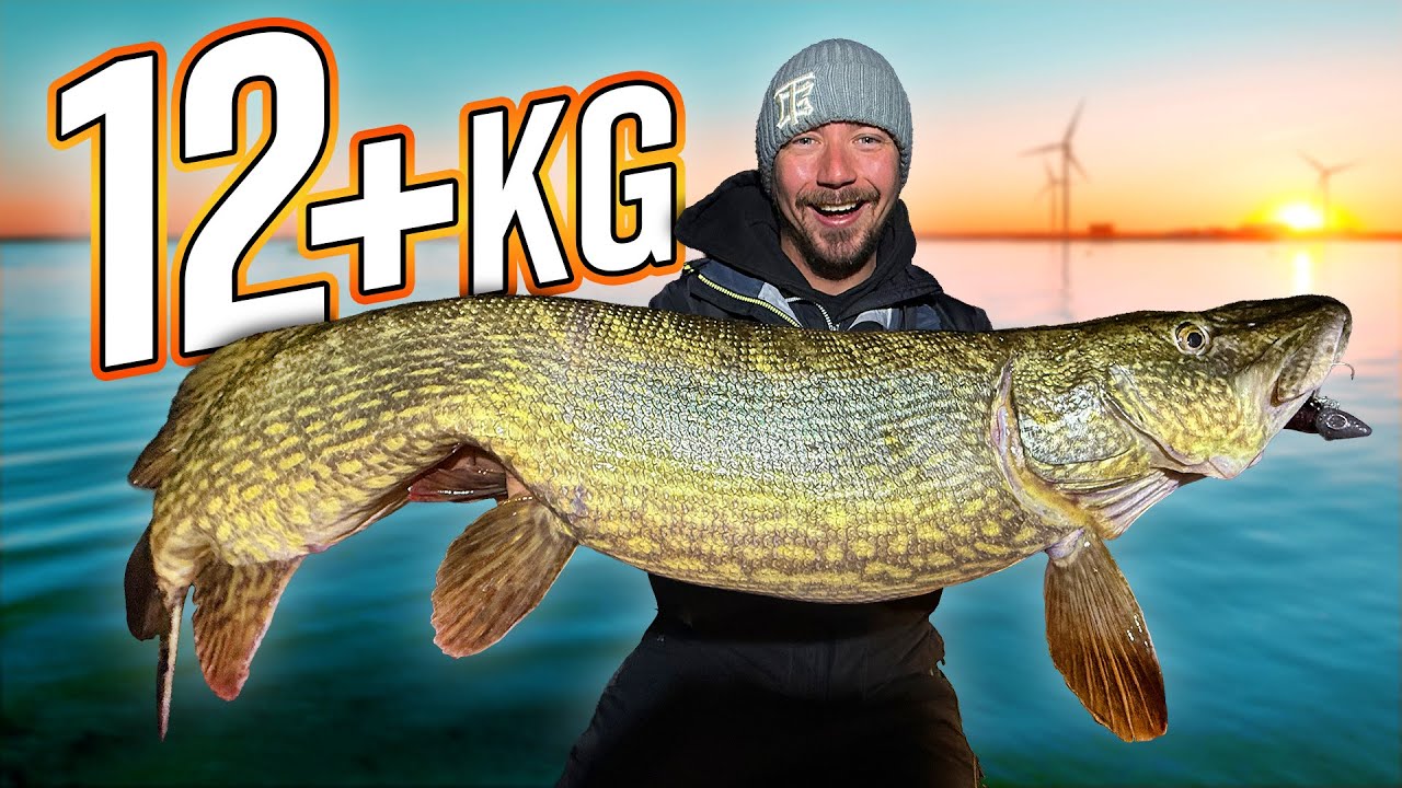 DRÖMFISKE: Vårt BÄSTA Gäddfiske Från Båt → 12kg+ Gädda ⚠️