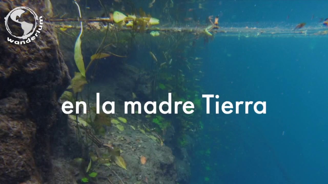 24 hours in the wild... Nature, you and Yucatan