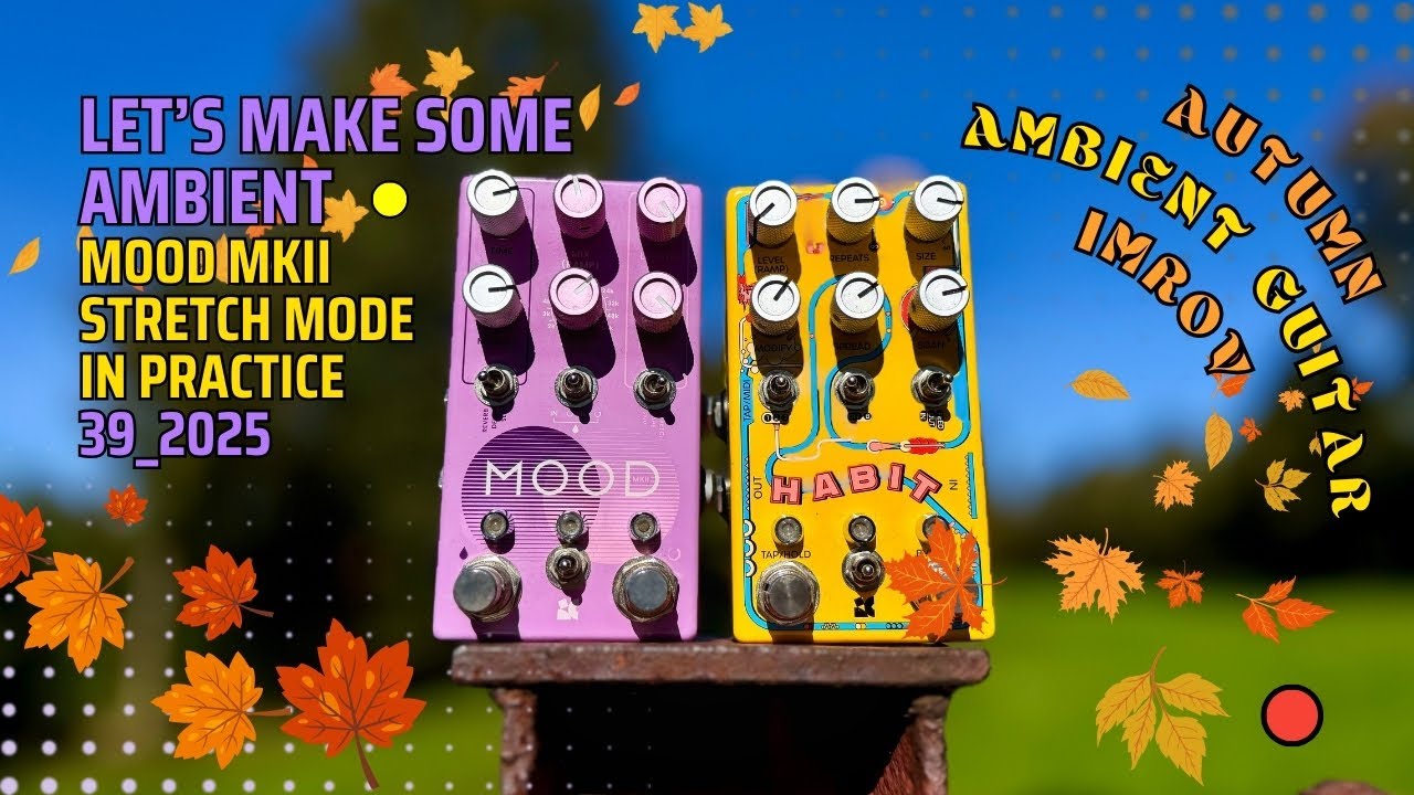 MOOD MKII Stretch Mode in Practice | Autumn Ambient Guitar Improv | 39_2025