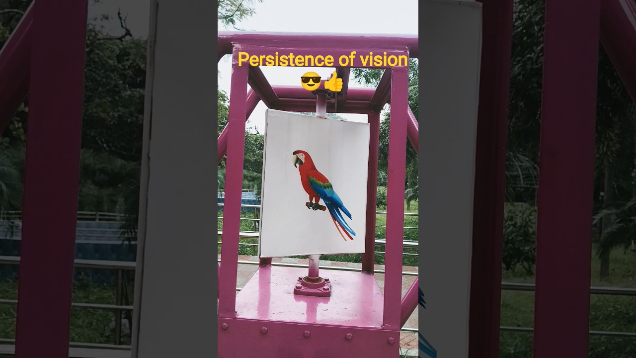 Persistence of vision 😎🆒