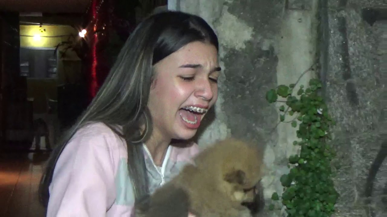 Loucura de amor 15 anos na quarentena (11)98866-6145