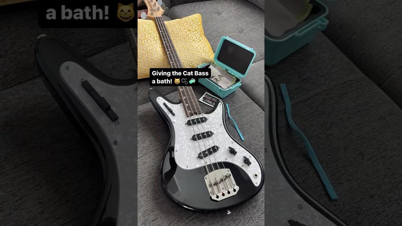 Cleaning my @NordstrandAudio Cat bass!! 😸🫧🫧 #bassguitar #bassist #cleaningvideo