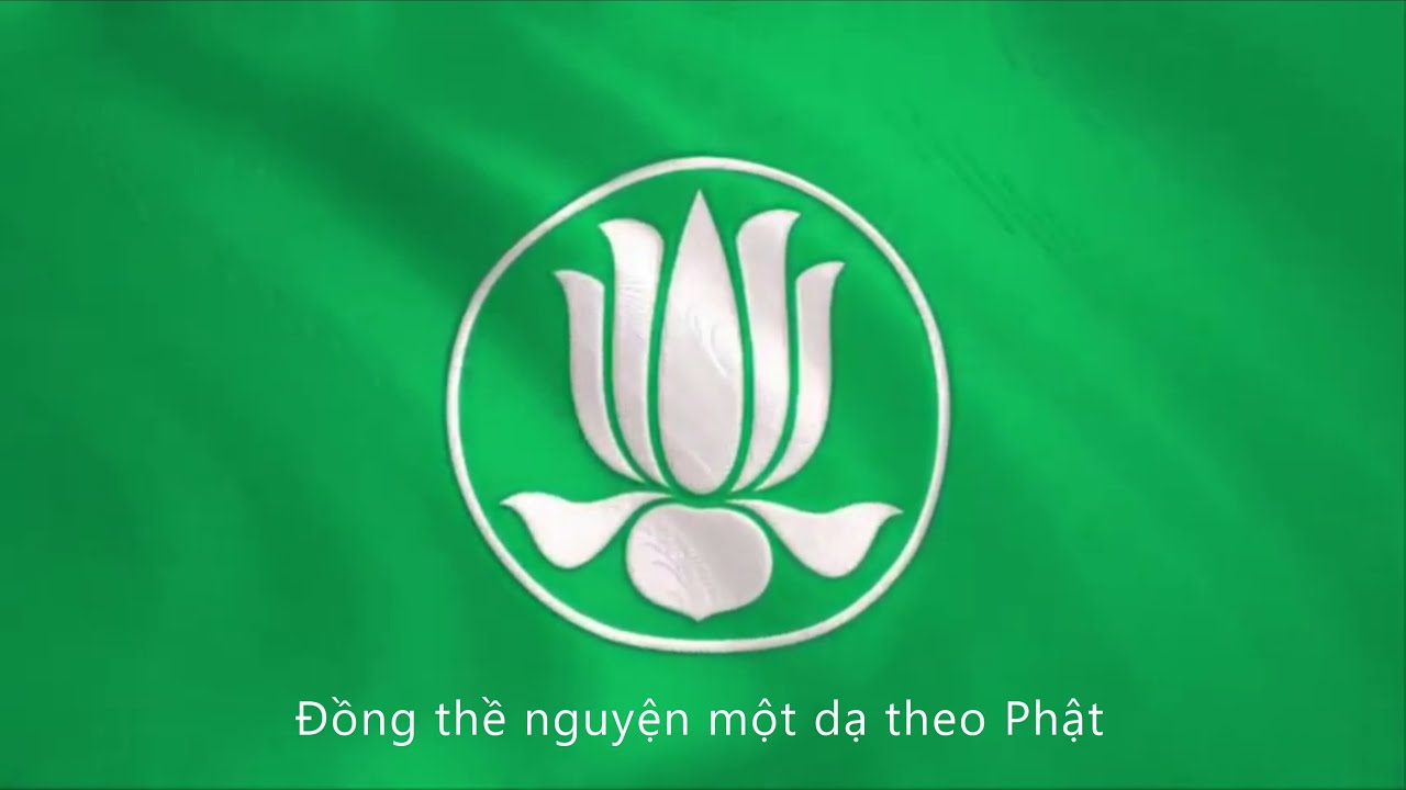 🎵【4K】SEN TRẮNG • Bài ca chính thức GĐPT Việt Nam