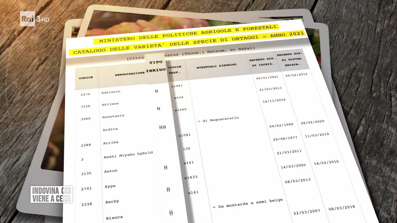 Brevetti e libertà - Indovina chi viene a cena 10/09/2022