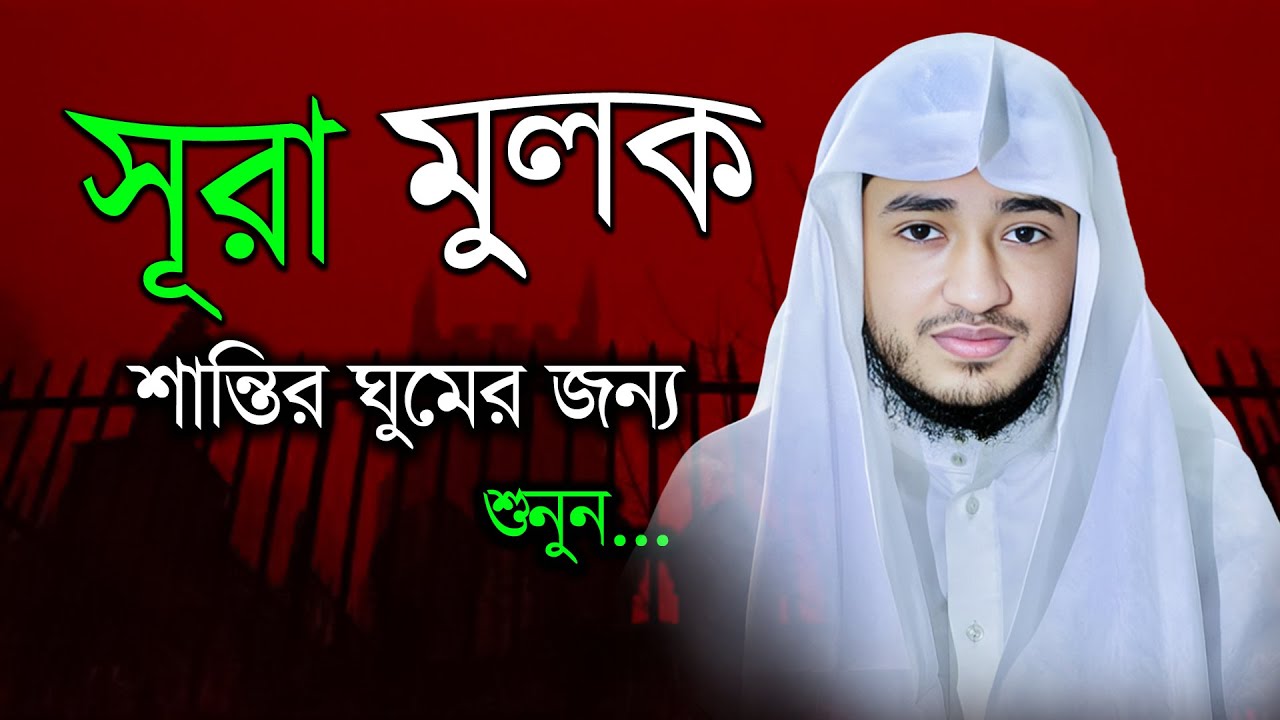 সূরা মুলক | কবরের আজাব থেকে হেফাজতের তিলাওয়াত | রাতের সেরা আমল | ক্বারী আবু রায়হান