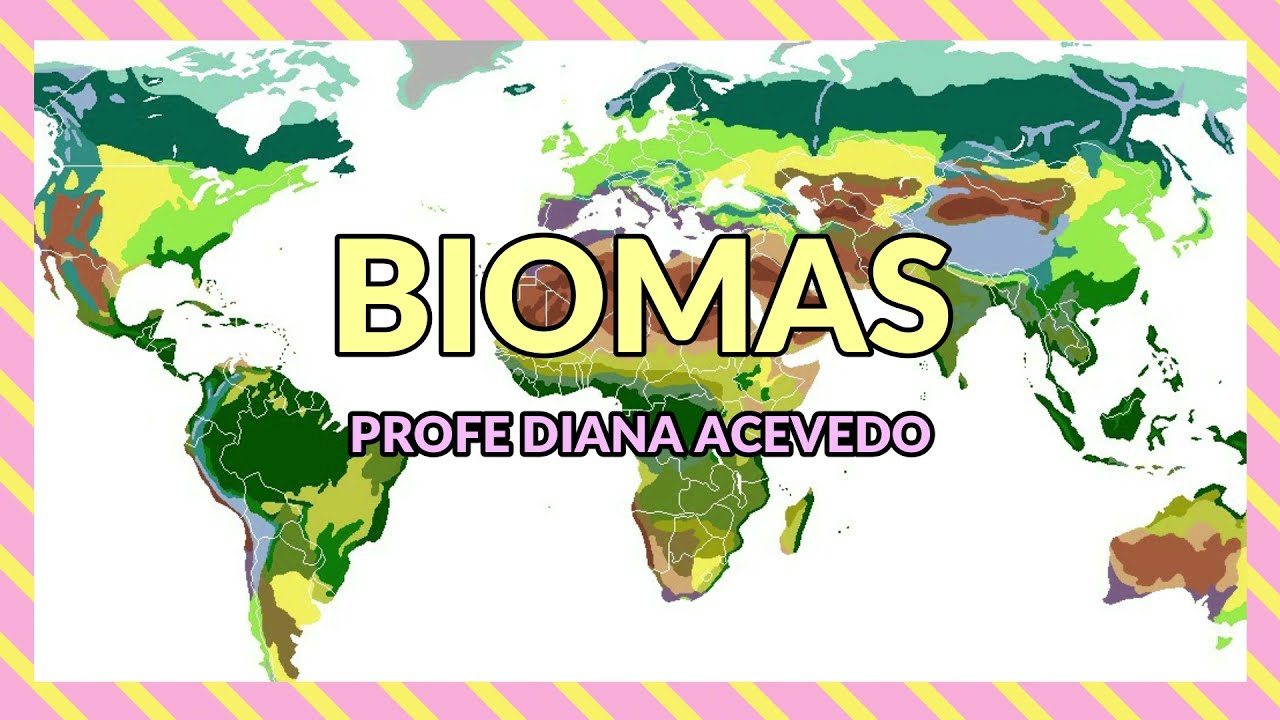 Biomas terrestres y acuáticos
