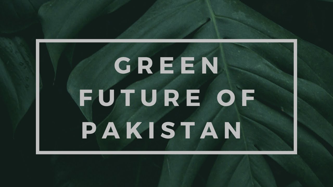 Green Pakistan Initiative: A Greener Future for Our Nation