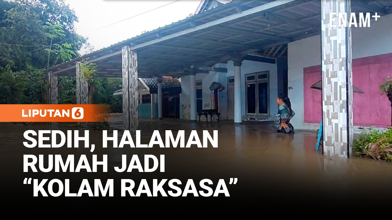 Banjir 2 Meter Terjang Permukiman Jember! Ratusan Rumah Tenggelam | Liputan6