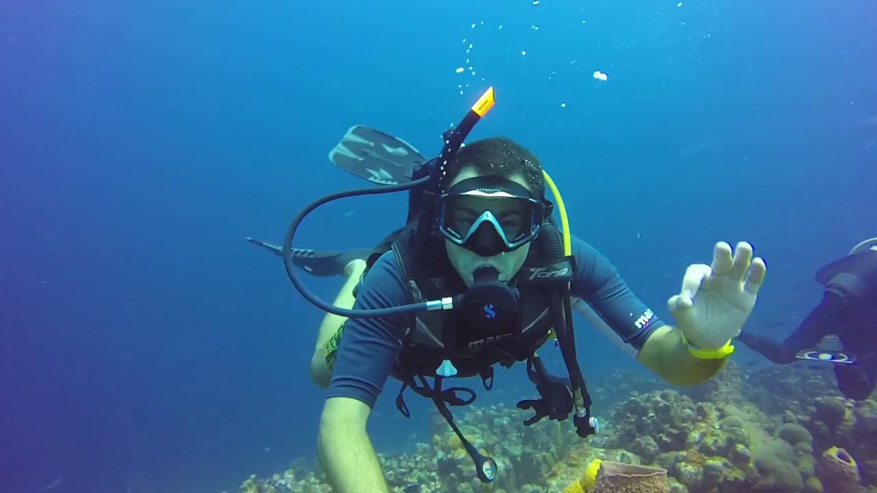 Plong&eacute;e Guadeloupe | R&eacute;serve Cousteau | Malendure