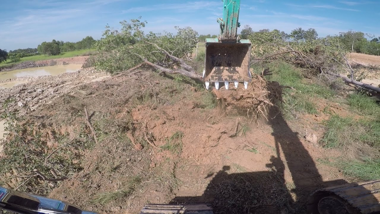 Excavator Kobelco sk 200-8 หน้างานถางป่า จัดระเบียบที่ดิน # สายทำลาย2