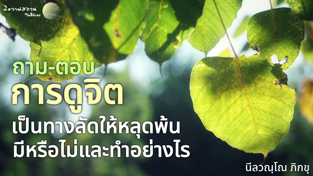 ถาม-ตอบ : การดูจิตทำให้หลุดพ้นมีหรือไม่ และต้องทำอย่างไร | พระอาจารย์ปัญญา นีลวณฺโณ