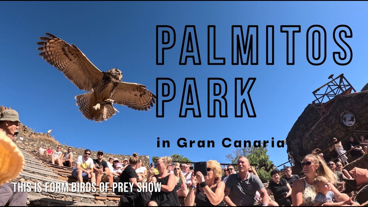 Palmitos Park in Gran Canaria | What to do in Gran Canaria with kids?
