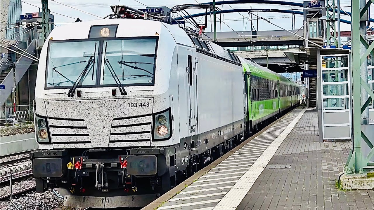 Trains at Weil am Rhein Station (4K)