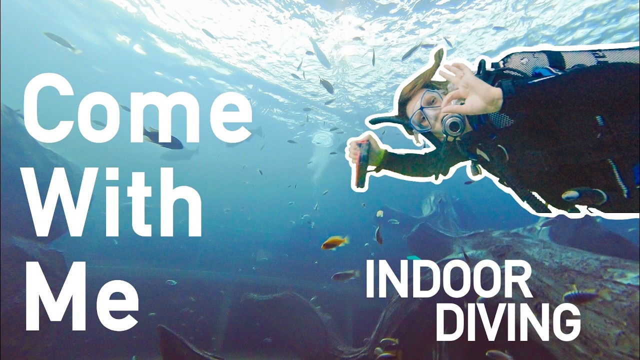 Come Diving With Me At TODI, Belgium | Indoor diving