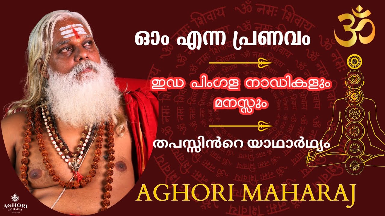 നാഡിശുദ്ധിയും ചക്രശുദ്ധിയും അഘോര തന്ത്രവും | AGHORI MAHARAJ | Aghora Kshetram | Aghora Tantra