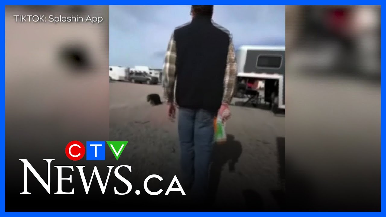Viral social media game sparks concern after teen arrested at gunpoint