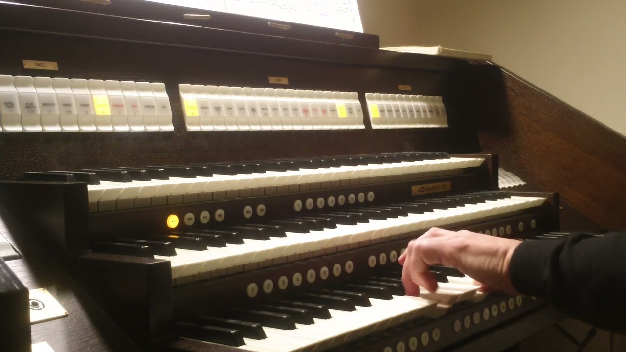 Erbarm` dich mein, o Herre Gott - J.S.Bach