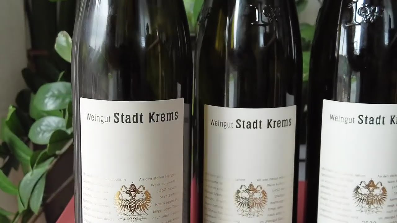 SUPERB Wine Tasting from Weingut Stadt Krems! #wine #winelovers #winetasting #kremstal