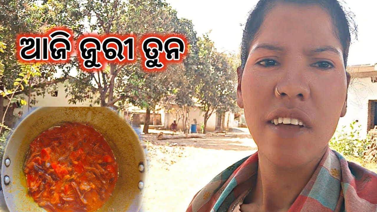 କେନ୍ତାକରି ରାଧିଲି ମୁଇ ଜୁରୀ ତୁନ / village lifestyle food vlog /Geetan Hastel Vlog 