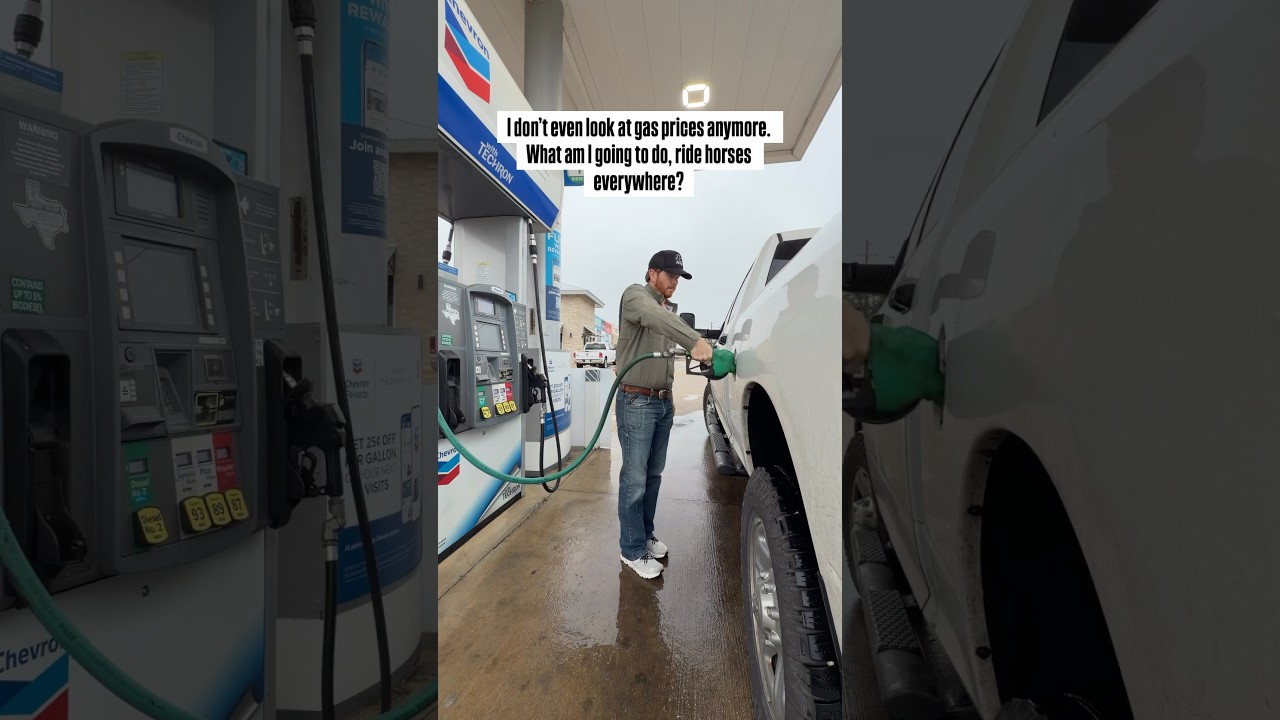 High gas prices, buy more horses. #horses #teamroping