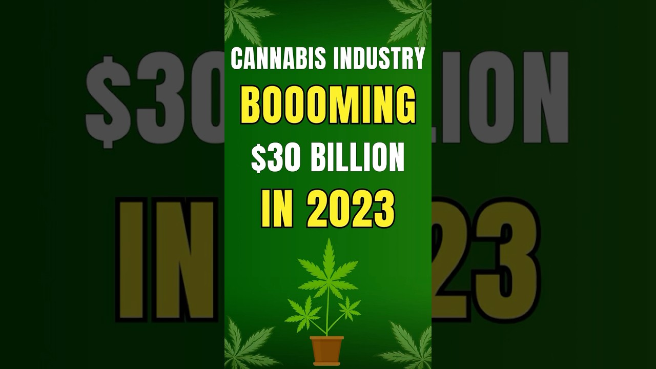 Top 5 Countries Making Billions From Cannabis 💰🌿