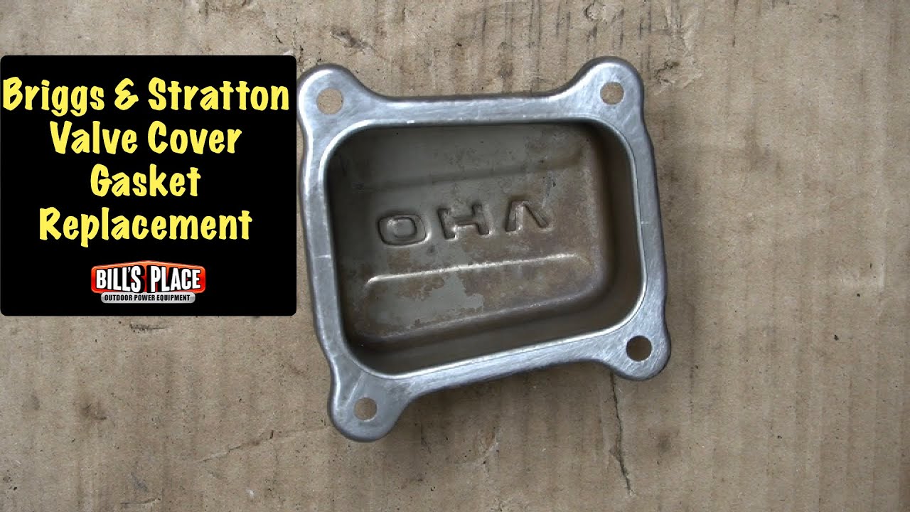 Briggs & Stratton Valve Cover Replacement On A Timemaster 8.75 Engine