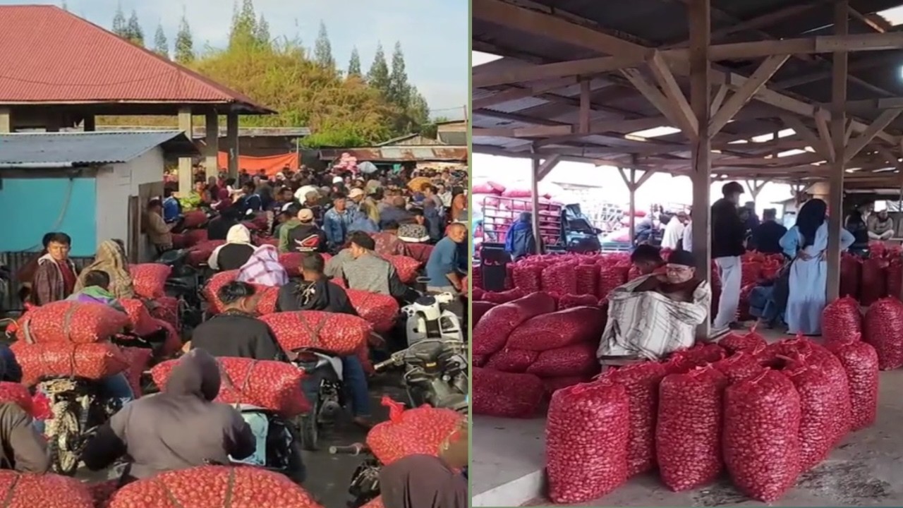 INFO DARI PASAR SAYUR ALAHAN PANJANG. KAMIS 5 MARET 2026