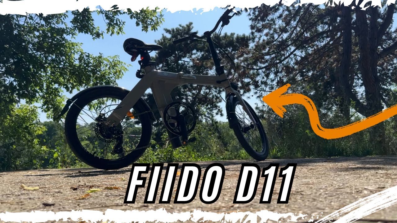 Bicicleta Familiei-  Fiido D11 2025