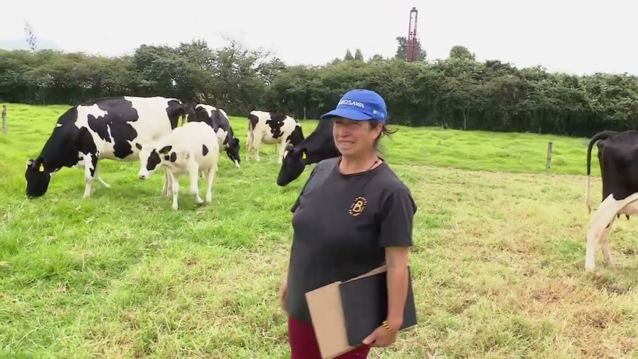Cómo certificarse en BPG - La Finca de Hoy