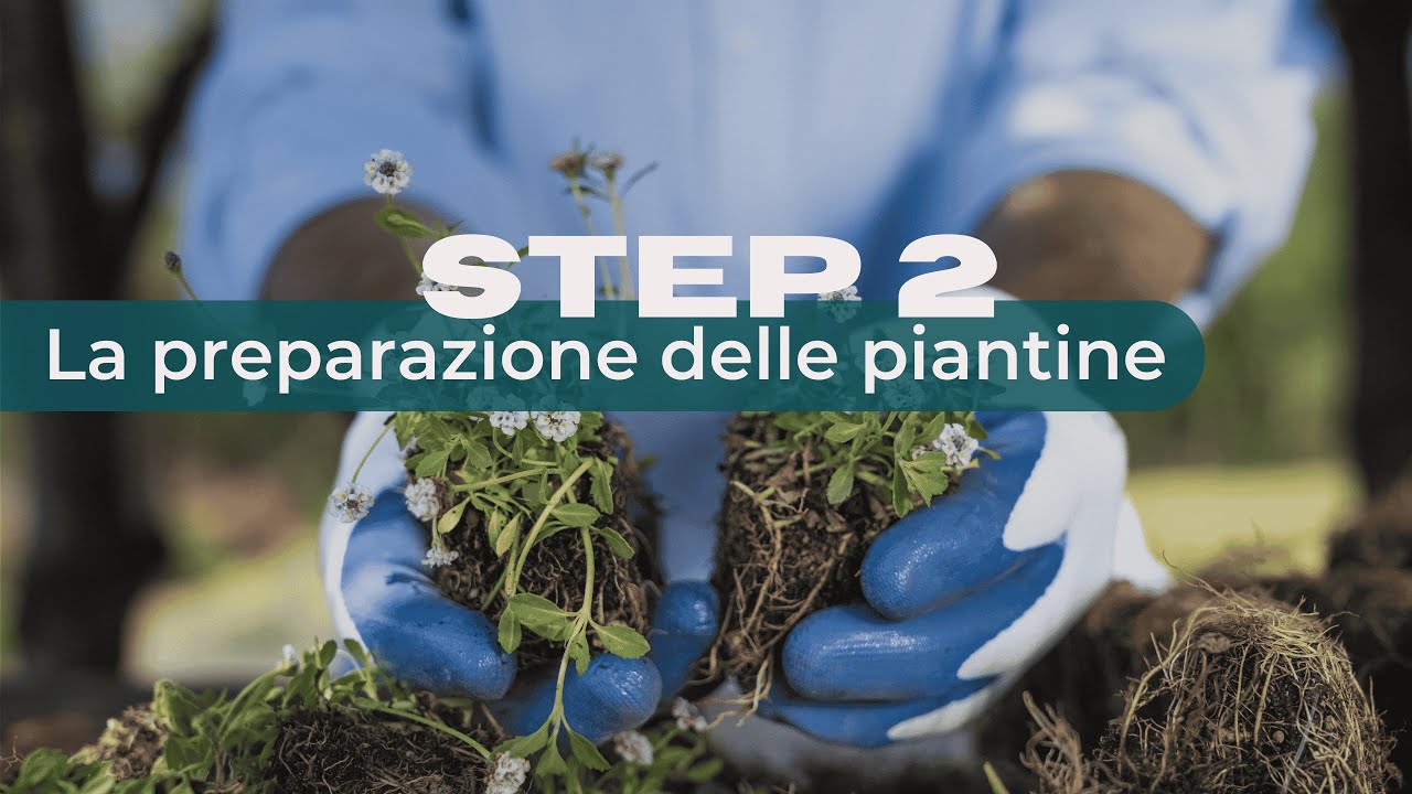 Come Piantare un Prato Alternativo - Step 2: Preparazione delle Piantine