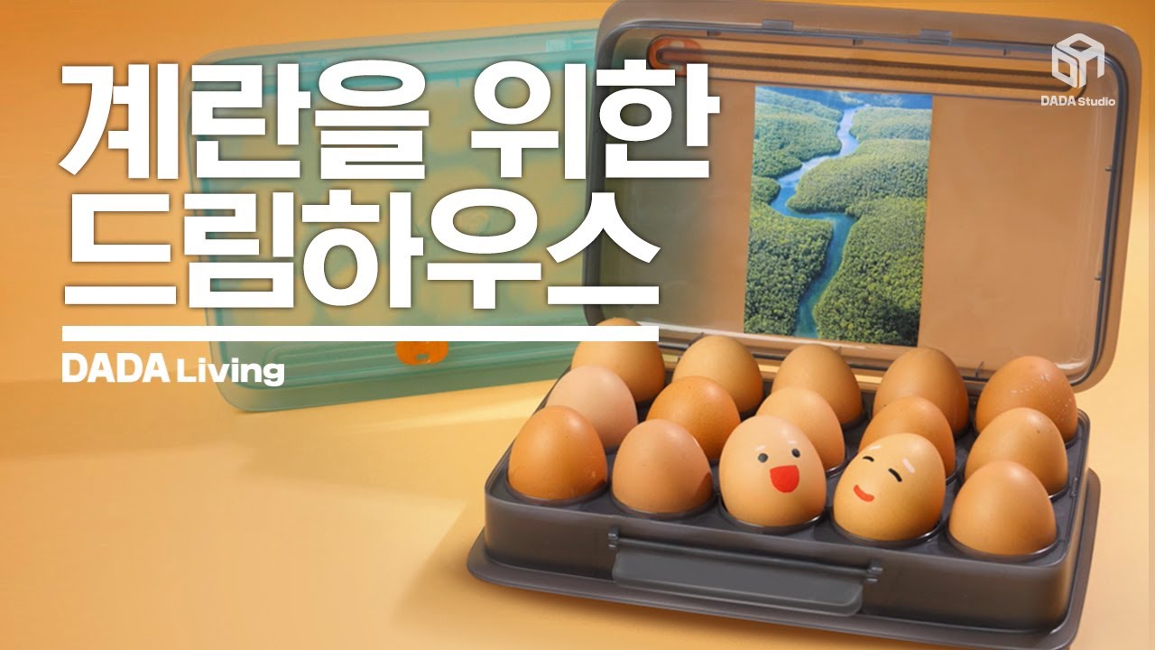 [#다다리빙] 계란들의 드림 하우스! 유통기한 체크 계란 보관함