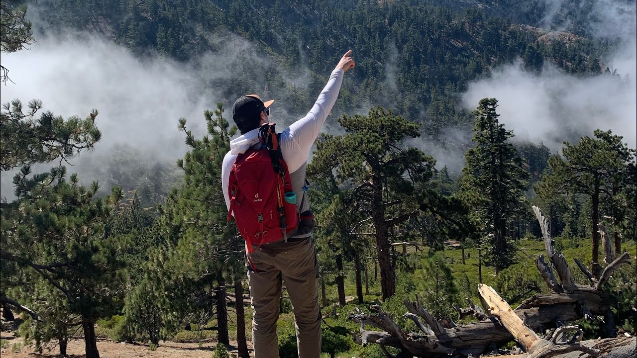 Deuter Trail 30 Backpack Review
