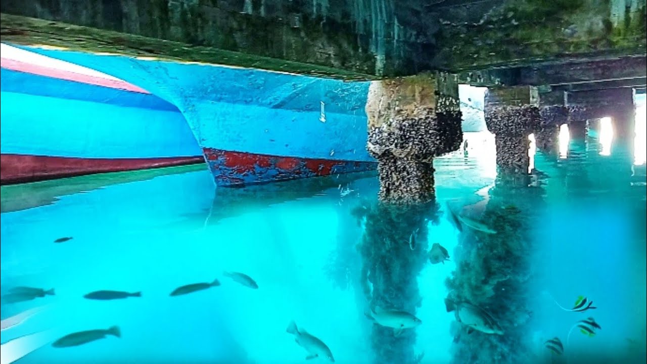 Haria ikan di bawa jembatan || pelabuhan saparua