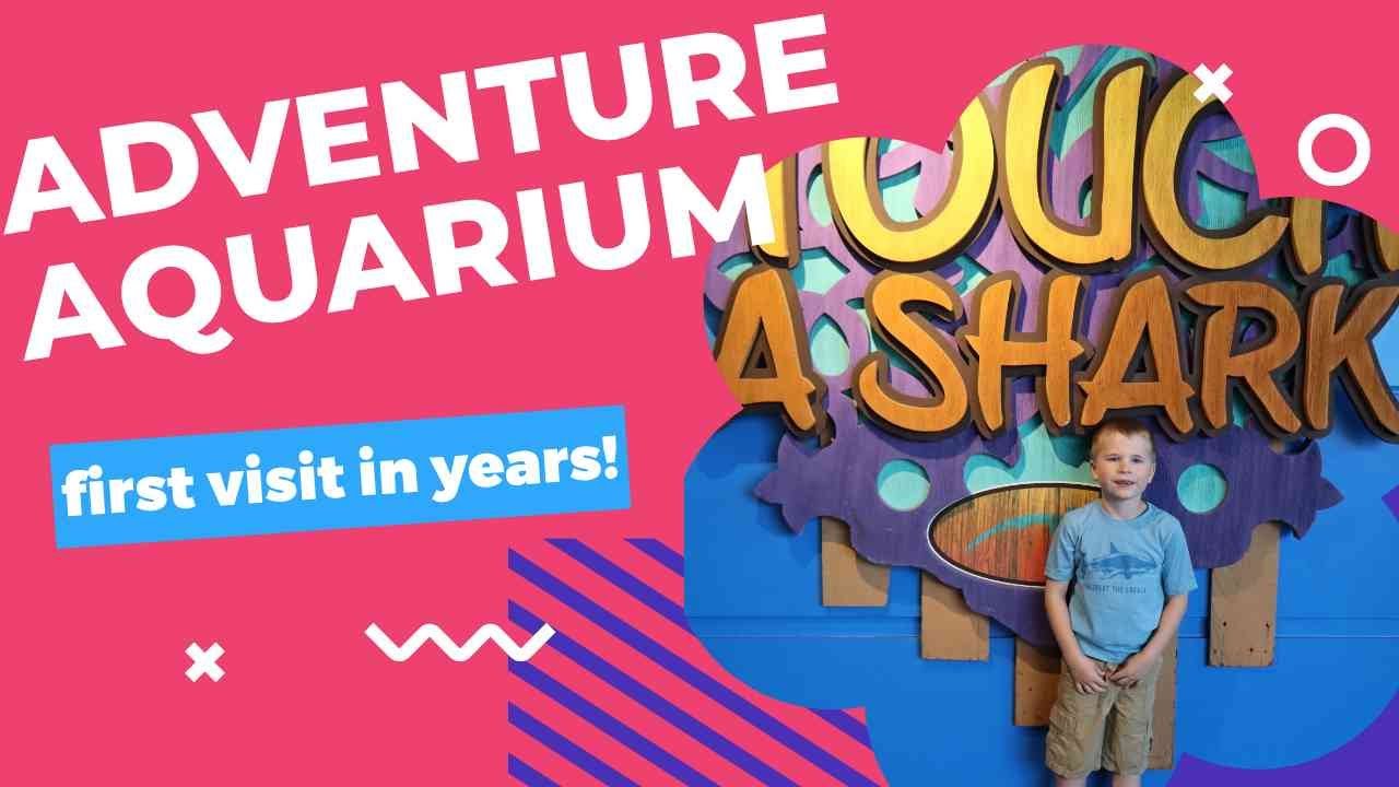 Adventure Aquarium | Sharks | Rays | Penguins