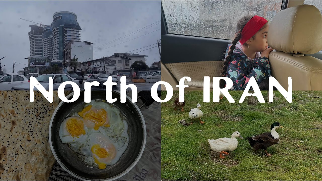 Rainy Day in Northern Iran | Iranian Pasta, Forest Walk, Ducks & Family Dinner
