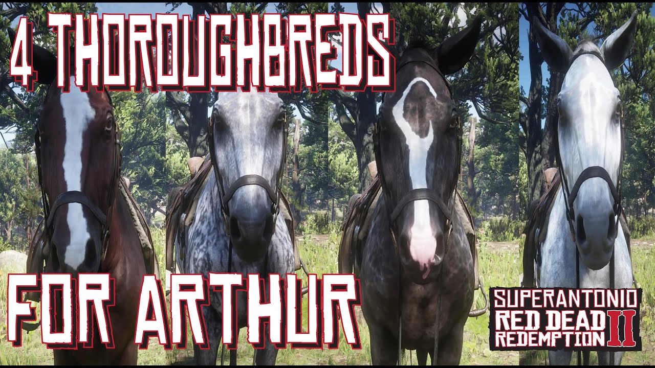 Как получить чистокровных лошадей Артура 4 в Red Dead Redemption 2
