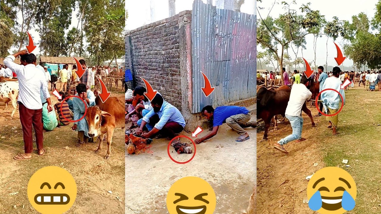 🌍 Worldwide Laugh Riot 2026 😂 Epic Public Prank Reactions | Rasel Vai official