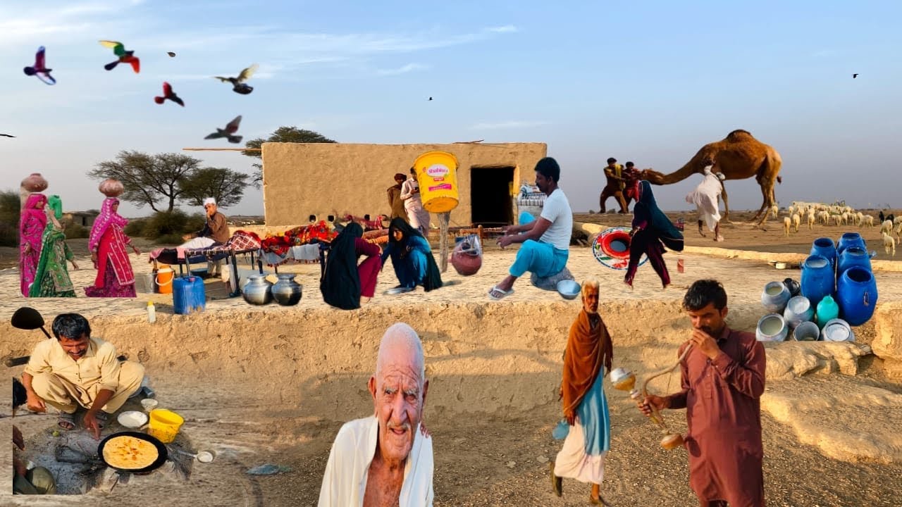 Cholistan Desert ￼ aunt 🐪/￼People In Lifestyle And Rohi Ke Jaanwar 