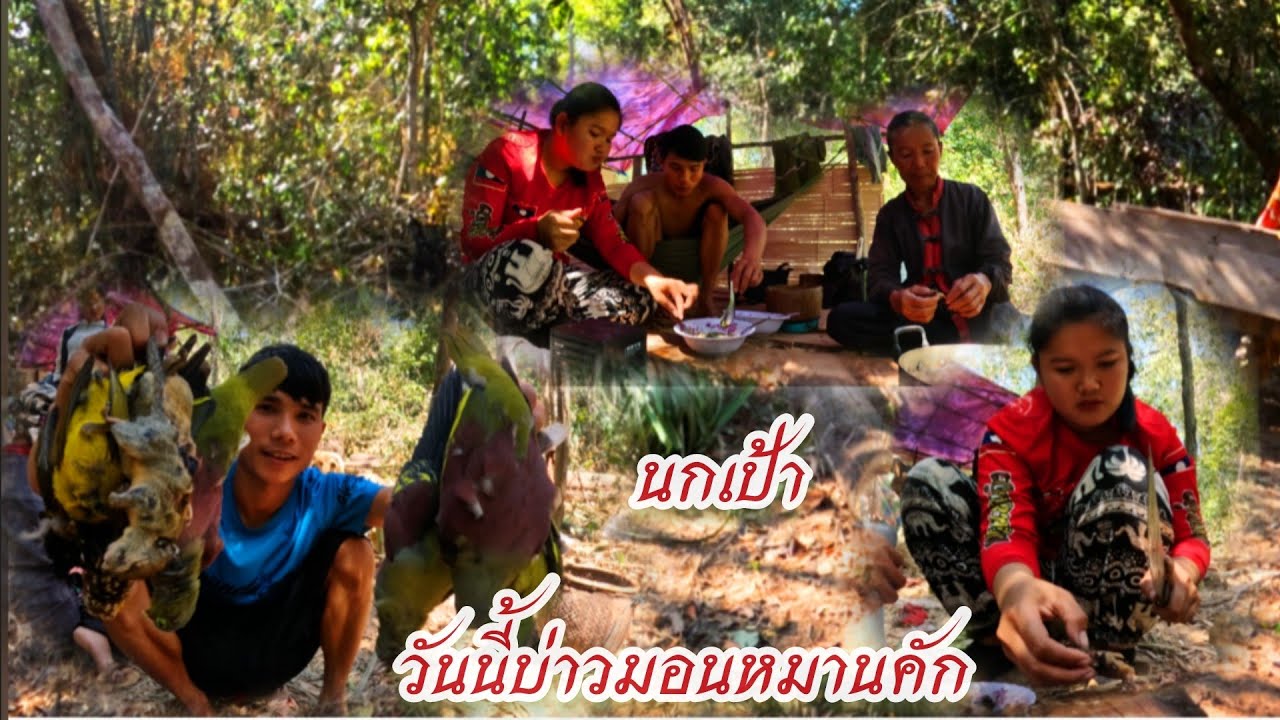 12 กุมภาพันธ์ ค.ศ. 2026วันนี้บ่าวมอนจัดไห่แล้ว หมาน×10//ມື້ນີ້ບ່າວມອນຈັດໄຫ່ແລ້ວຫມານ×10