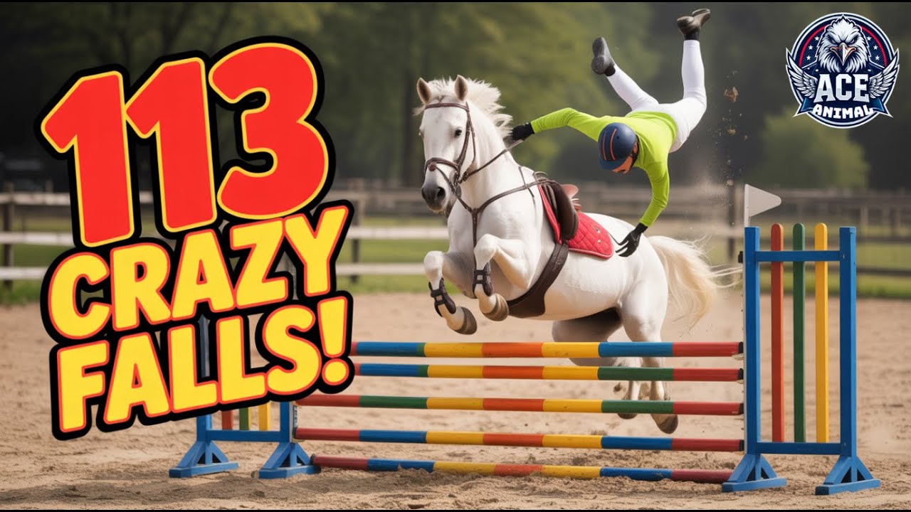 HORSE FAILS AND FALLS : 113 Crazy Falls Ever Caught on Camera 2025!