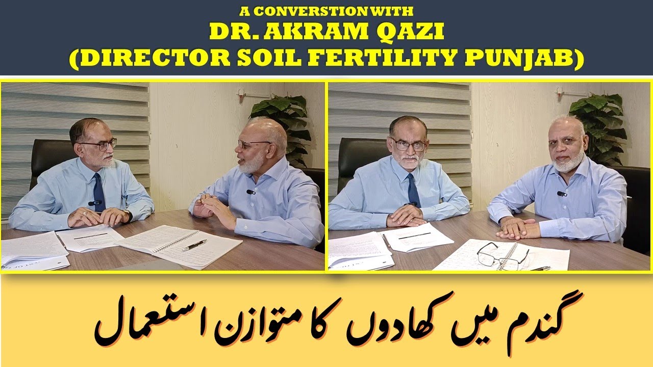 BALANCED FERTILIZER USE IN WHEAT CROP | DR. AKRAM QAZI (DIR. SOIL FERTILITY, PUNJAB) - Part 1