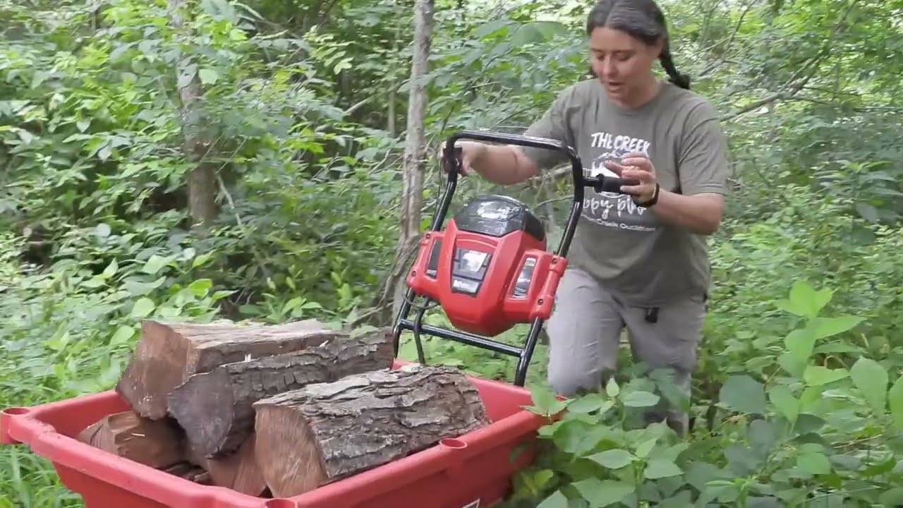 Snapper XD self-propelled utility cart