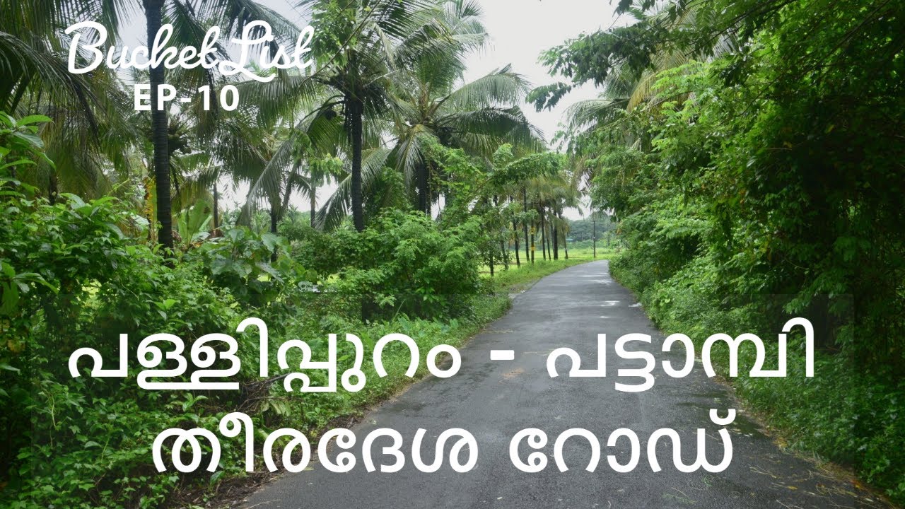 പള്ളിപ്പുറം പട്ടാമ്പി തീരദേശ റോഡ് | Pattambi | BucketList Malayalam Vlog | Pallippuram |  ഭാരതപുഴ
