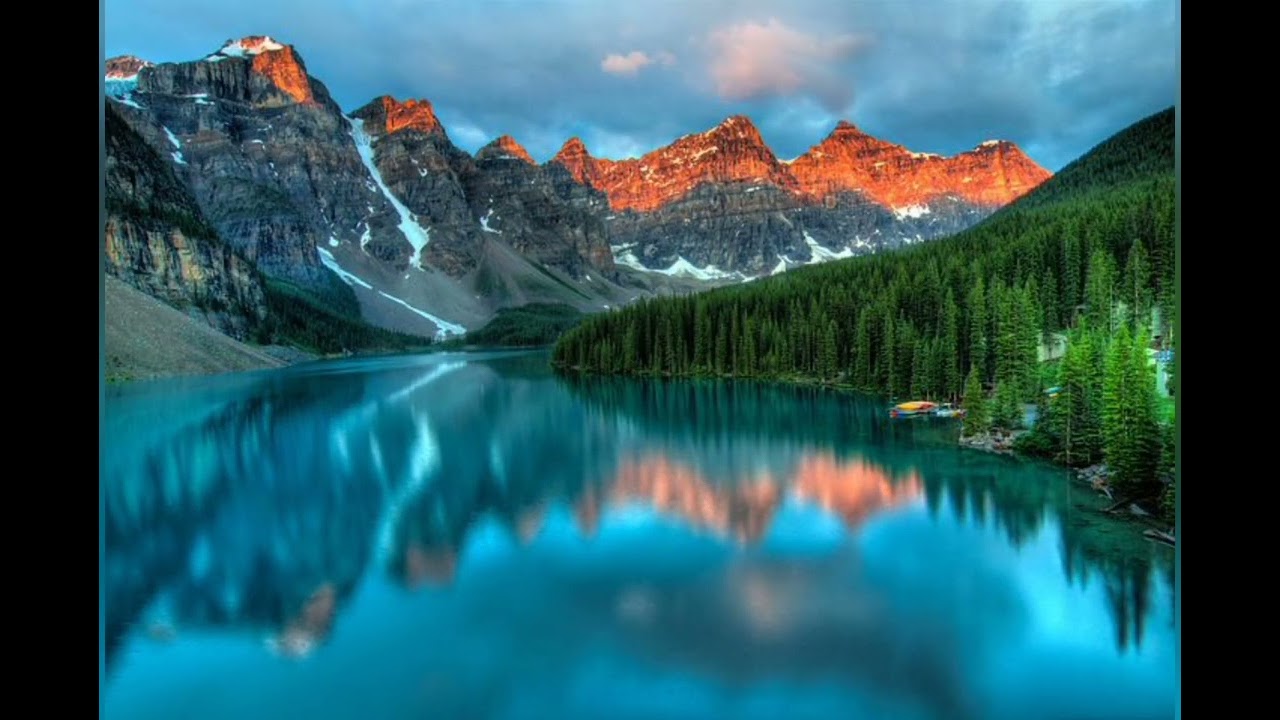 Paloma Blanca, 134, instrumentale Cover Version