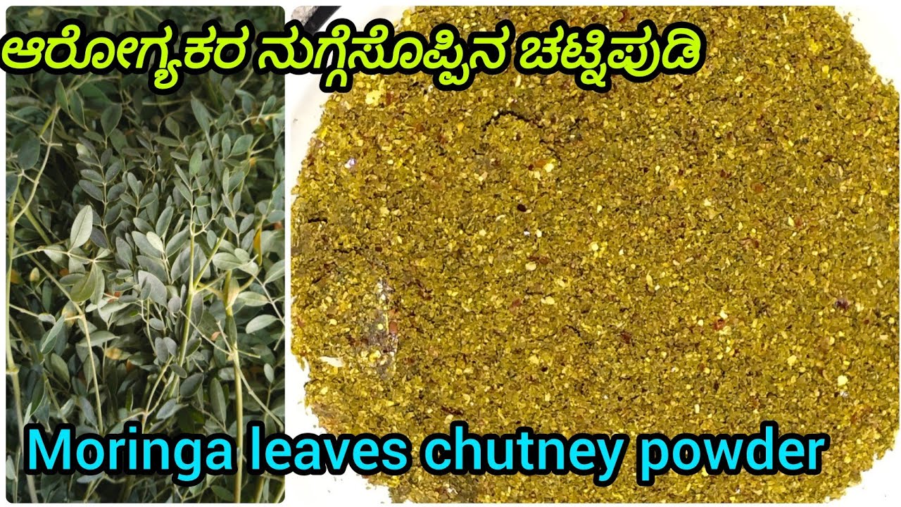 ರುಚಿಯಾದ ನುಗ್ಗೆಸೊಪ್ಪಿನ ಚಟ್ನಿಪುಡಿ//The best way to eat drumstick leaves/Healthy chutney powder recipe 