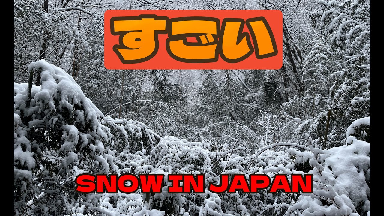 Japan trip day 10