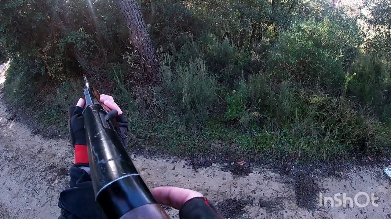 LANCE A JABAL&Iacute; A MEDIO METRO! Senglar a mitg metre! /cacchia il singliare//wildboar hunt
