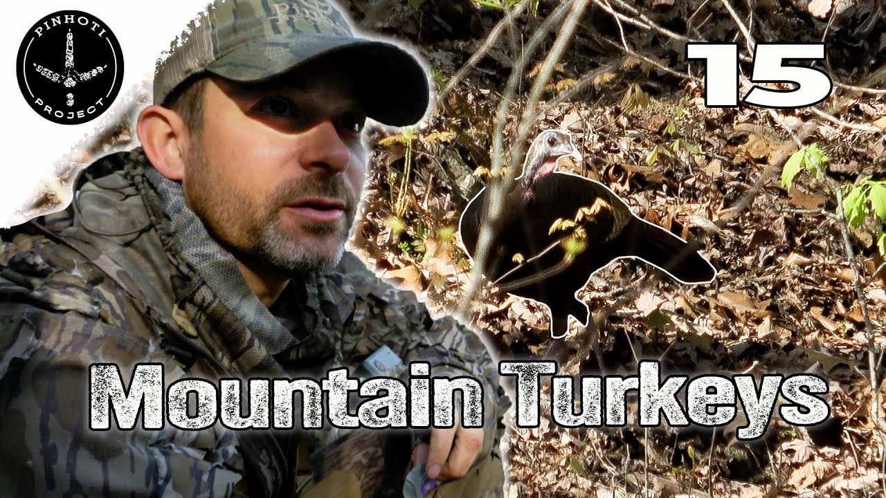 EARLY APRIL EASTERN TURKEYS | HEN TALK in the HARDWOODS | HUNTING OPEN WOODS for TOUCHY TURKEYS