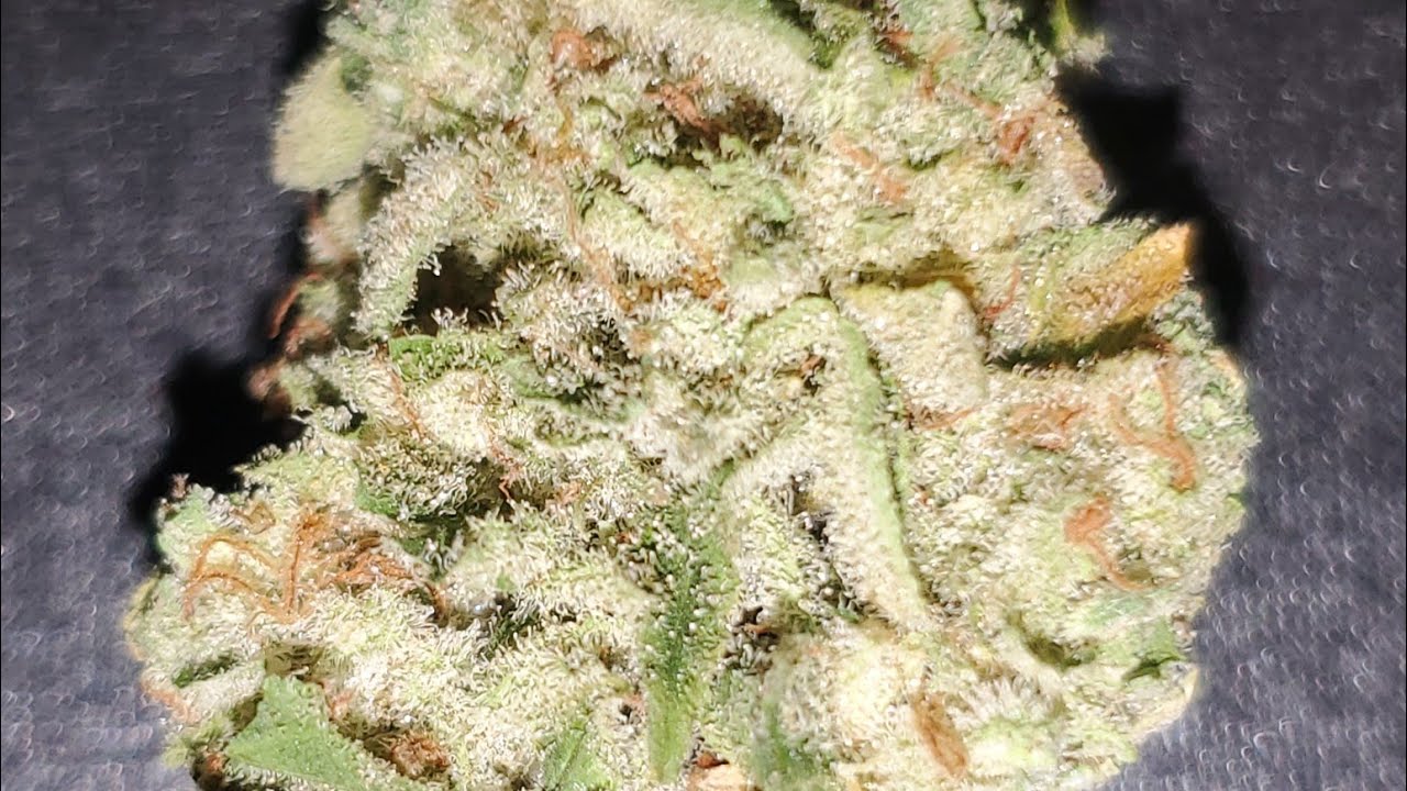 Tangerine 🍊 Cookies 🍪 By: OrGrow